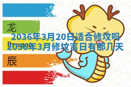 夏姓男宝宝名字精选：2026年02月03日生辰八字起名技巧