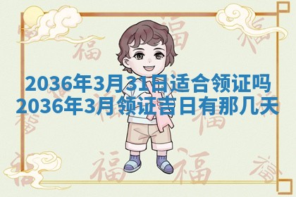 夏姓男宝宝名字精选：2026年02月03日生辰八字起名技巧