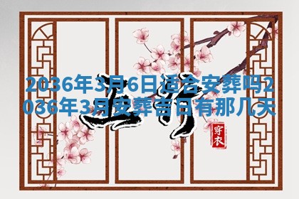 夏姓男宝宝名字精选：2026年02月03日生辰八字起名技巧