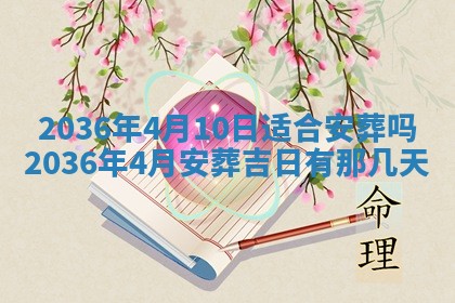 夏姓男宝宝名字精选：2026年02月03日生辰八字起名技巧