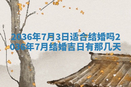 夏姓男宝宝名字精选：2026年02月03日生辰八字起名技巧
