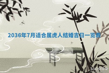 夏姓男宝宝名字精选：2026年02月03日生辰八字起名技巧