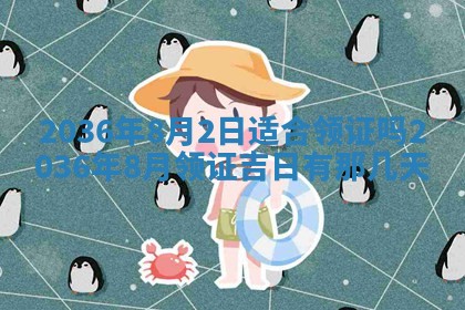 夏姓男宝宝名字精选：2026年02月03日生辰八字起名技巧