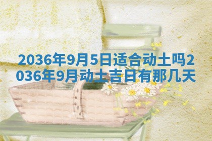 夏姓男宝宝名字精选：2026年02月03日生辰八字起名技巧