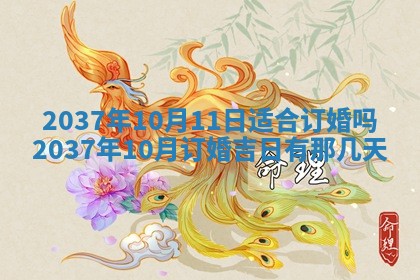 姚姓2026年02月08日出生女宝宝的五行取名详解