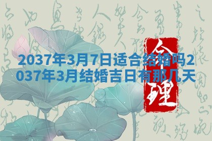 2026年01月10日今日打麻将财神方位,黄历财神方位查询