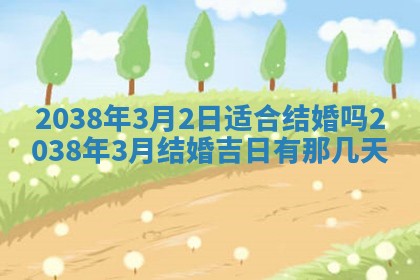 姚姓2026年02月08日出生女宝宝的五行取名详解