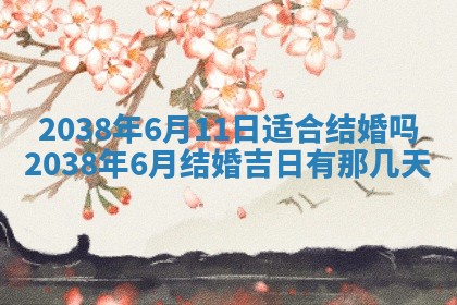 雷姓女宝宝起名必看：2026年01月31日生辰八字喜用神与取名建议