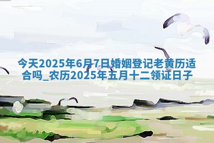今天2025年6月7日婚姻登记老黄历适合吗,农历2025年五月十二领证日子