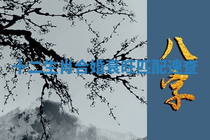 今日万年历2025年6月23日动土吉日,动土好日子查询