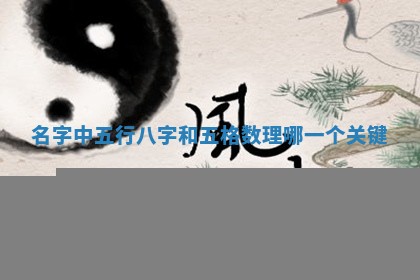 八字五行与武姓：2026年03月02日出生男宝宝的理想名字分析