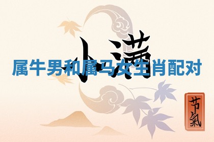 吴姓男宝宝名字精选：2026年03月07日生辰八字起名技巧