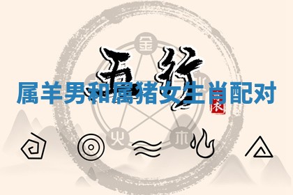八字五行与武姓：2026年03月02日出生男宝宝的理想名字分析