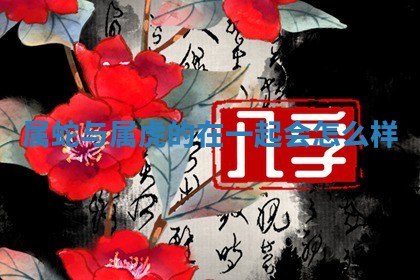 2025年12月16日财神朝向查询