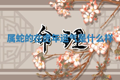 2025年12月12日打牌财神方位