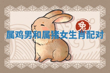 八字五行与武姓：2026年03月02日出生男宝宝的理想名字分析