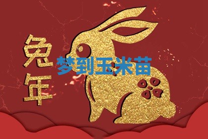 毛姓男宝宝起名大全：2026年03月12日生辰八字喜用神分析