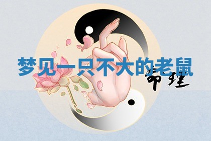 2026年01月23日出生的邓姓男孩子取名指南：吉祥好听的名字推荐