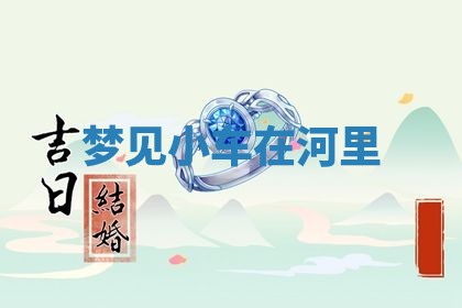 谭姓2026年02月27日出生的男孩子命理分析与起名攻略