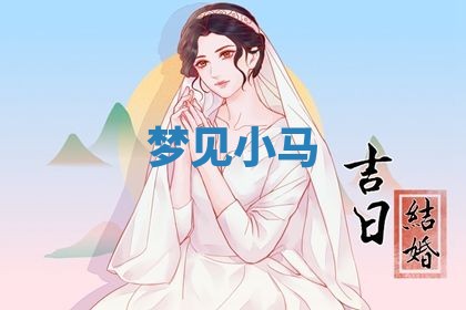 农历2025年五月廿九黄历适宜议婚吗,订婚好日子查询