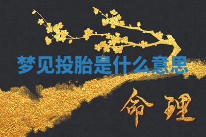 八字五行与武姓：2026年03月02日出生男宝宝的理想名字分析