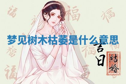 毛姓男宝宝起名大全：2026年03月12日生辰八字喜用神分析