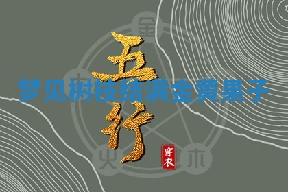 毛姓男宝宝起名大全：2026年03月12日生辰八字喜用神分析