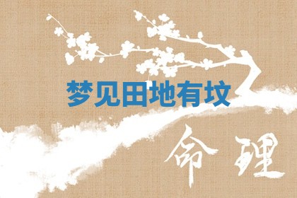 八字五行与武姓：2026年03月02日出生男宝宝的理想名字分析