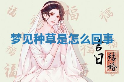 毛姓男宝宝起名大全：2026年03月12日生辰八字喜用神分析