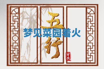 八字五行与武姓：2026年03月02日出生男宝宝的理想名字分析