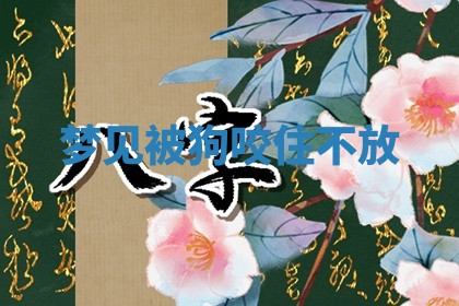 八字五行与武姓：2026年03月02日出生男宝宝的理想名字分析