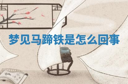 八字五行与武姓：2026年03月02日出生男宝宝的理想名字分析