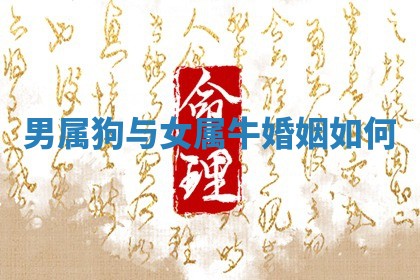 赵姓男宝宝起名大全：2026年01月19日生辰八字喜用神分析