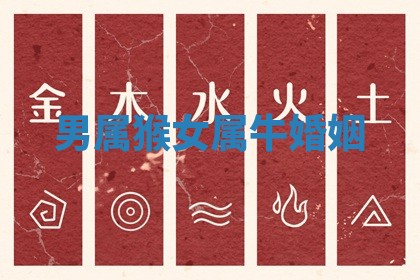 赵姓男宝宝起名大全：2026年01月19日生辰八字喜用神分析