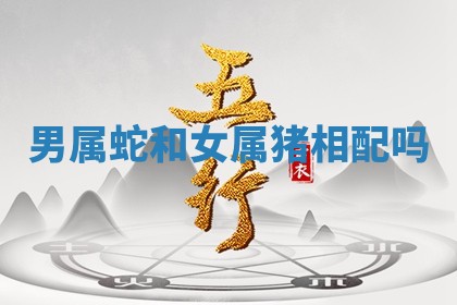 八字五行与武姓：2026年03月02日出生男宝宝的理想名字分析