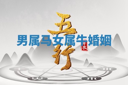 赵姓男宝宝起名大全：2026年01月19日生辰八字喜用神分析