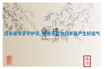 八字五行与武姓：2026年03月02日出生男宝宝的理想名字分析