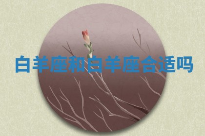 2025年12月12日打牌财神方位