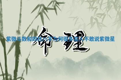 八字五行与武姓：2026年03月02日出生男宝宝的理想名字分析