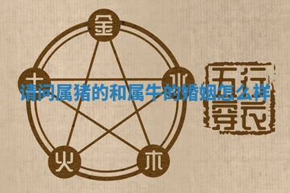 赵姓男宝宝起名大全：2026年01月19日生辰八字喜用神分析